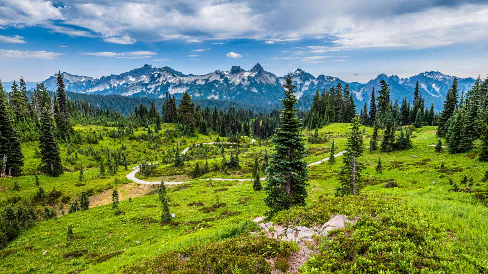 Scenic Mountain Nature Wallpaper – Lush Green Landscape (HD) | MirrorLog